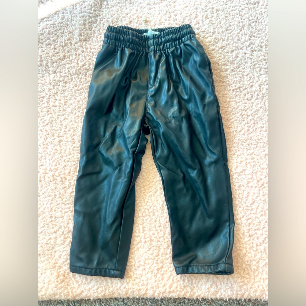 Vegan leather pants